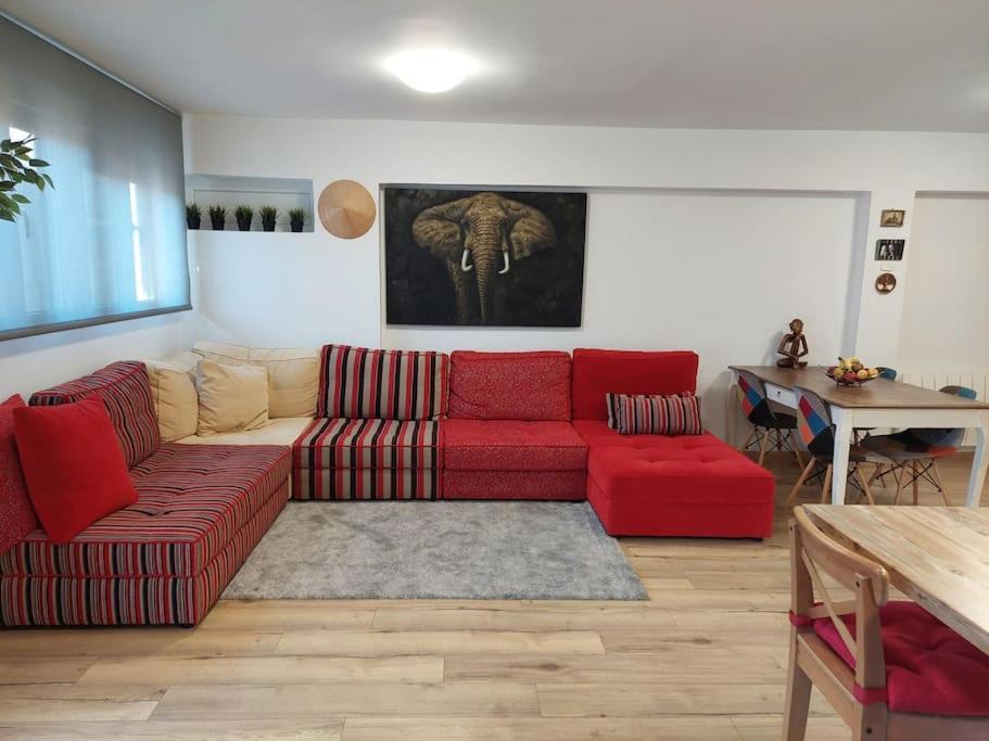 Family Apartment Andrea Αλάκουας Εξωτερικό φωτογραφία